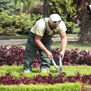 Landscaper working in a garden